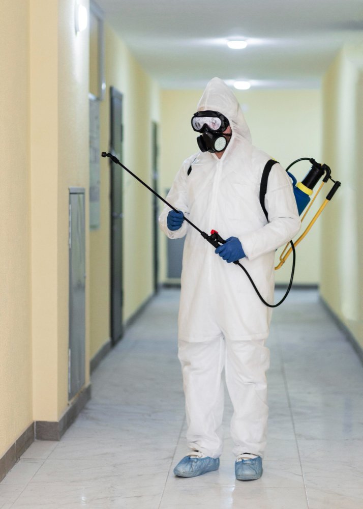 best pest control services in Bhubaneswar